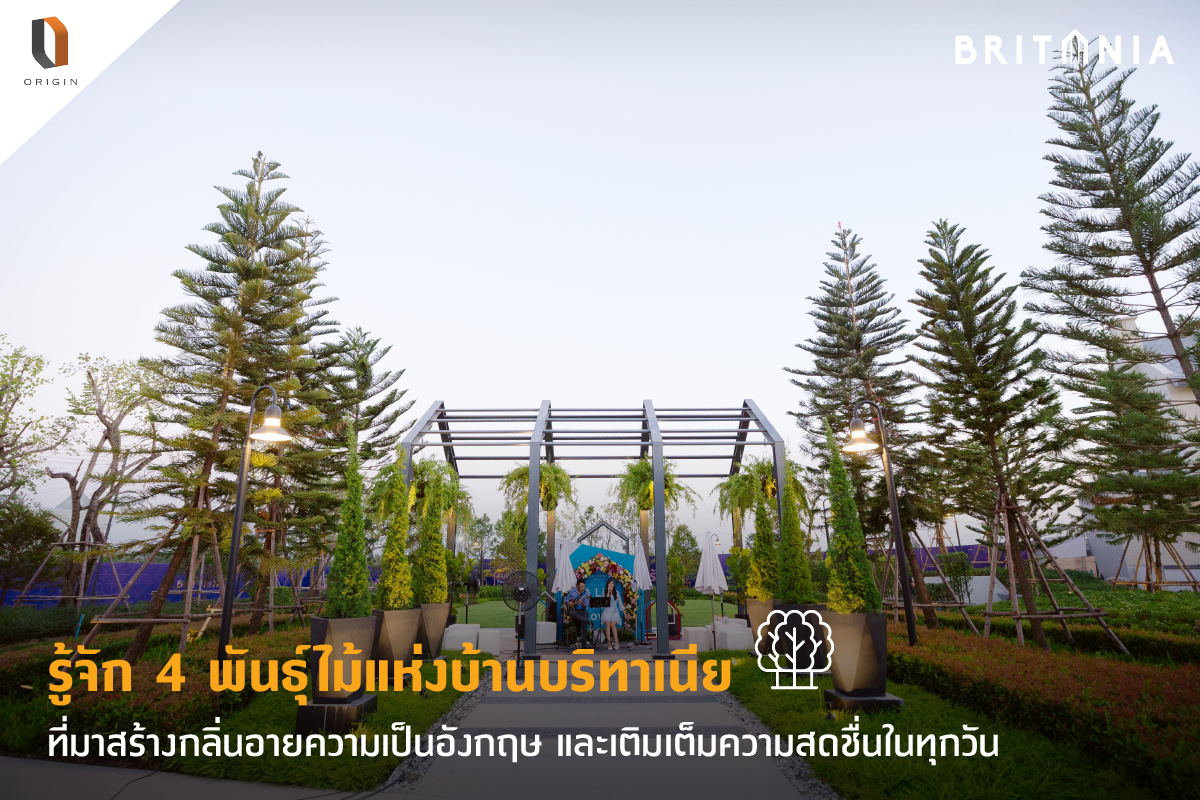 4 พันธุ์ไม้