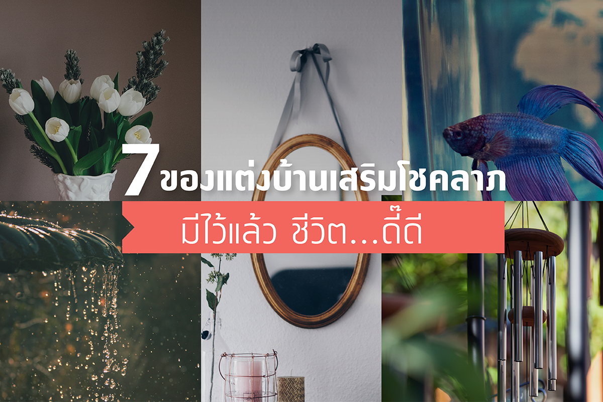 7 ของ แต่งบ้านเสริมโชคลาภ