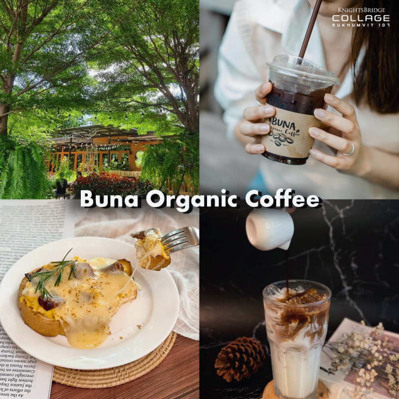 คาเฟ่แบริ่ง Buna Organic Coffee